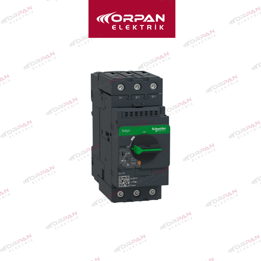 TeSys GV Serisi Motor Koruma Şalteri (GV3-P73)